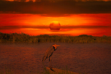 Afrika Sonnenaufgang  und Sonnenuntergang 