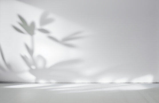 Blurred shadow from leaves plants on the white wall. Minimal abstract background for product presentation. Spring and summer. © Laura Pashkevich