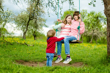 Naklejka na ściany i meble Two young sisters and their toddler brother having fun on a swing in blossoming apple orchard on warm spring day.