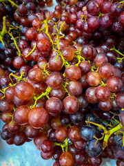 Grape fruit for sale in the supermarket
