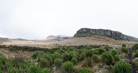 Rocky paramo landscape with fog in a cloudy day