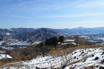宝登山山頂からの景色