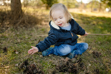 Cute toddler boy playing with pine cones outdoors on sunny spring day. Child exploring nature.