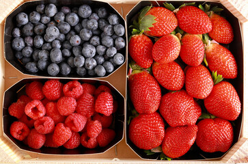 Fresh mixed berries