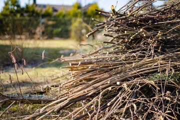 Dried twigs in a pile in a garden on autumn day.