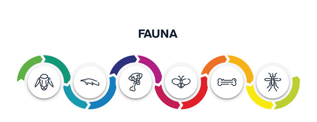 fauna outline icons with infographic template. thin line icons such as sheep head, sitting anteater, chewing bone for dog, plain butterfly, dog bone, big mosquito vector.