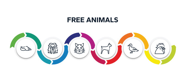 free animals outline icons with infographic template. thin line icons such as seashell conch, long haired dog head, pet cat, big dog, wild duck, chiken head vector.