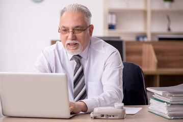 Old male boss employee working in the office