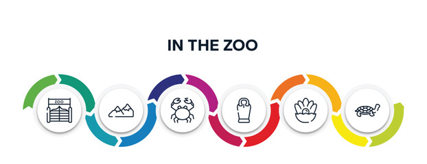 in the zoo outline icons with infographic template. thin line icons such as zoo, mountains, crab, sarcophagus, pearl, tortoise vector.