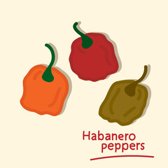 Habanero pepper. Hand drawn hot chili pepper elements collection.
