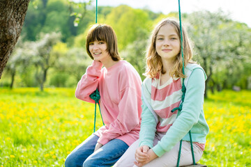 Two young sisters having fun on a swing in blossoming apple orchard on warm spring day.