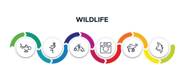 wildlife outline icons with infographic template. thin line icons such as magic lamp, flamingo, harebell, veterinarian, dromedary, manta ray vector.
