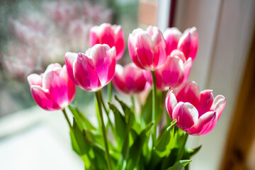 A bouquet of pink and white tulips in a vase on the windowsill.