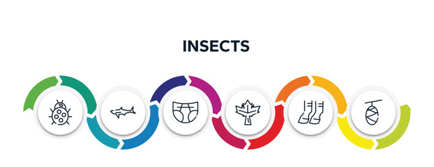 insects outline icons with infographic template. thin line icons such as ladybug, shark, diapers, maple leaf, hoof, cocoon vector.