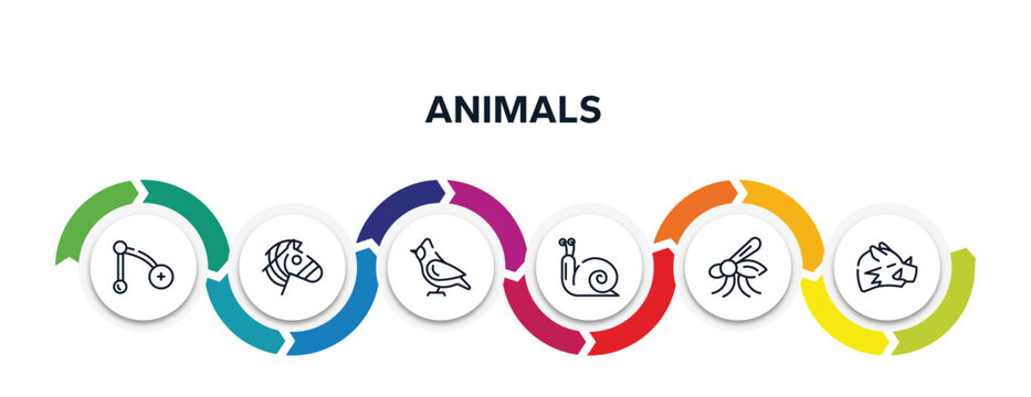 animals outline icons with infographic template. thin line icons such as branch, zebra, cardinal, snail, mosquito, boar vector.
