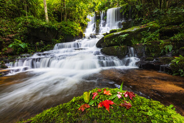 Obraz premium Beautiful waterfall in Phu Hin Rong Kla National Park, Phitsanulok province, ThaiLand.