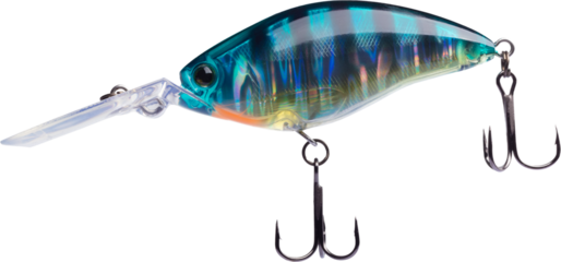 Side view of a blue and gold fishing lure
