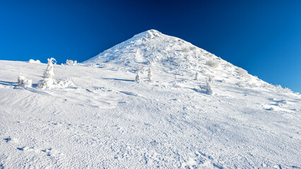 Winter mountain landscape. Bieszczady National Park, Carpathians, Poland.