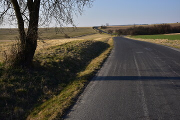 Road asphalt way in the fields