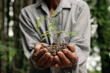 Man hands grabbing earth with a plant.The concept of farming and business growth..