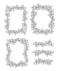 Olive leaf border, nature square frame. Ornament with plant branch for organic food, greek agriculture, italy product. Hand drawn vegetable, kitchen and oil packaging. Vector template elements
