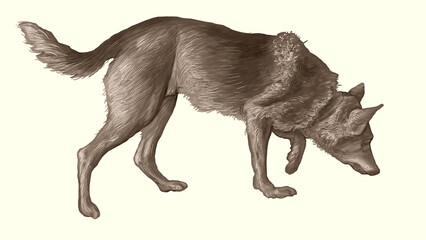 A dog is a man's friend 