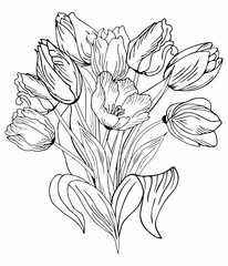 Beautiful realistic flowers, tulips. The composition is drawn by hand. Great idea for invitations, posters, cards, backgrounds, for printing and layout, etc.