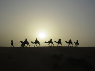 camel caravan at sunrising in Sahara desert - obrazy, fototapety, plakaty