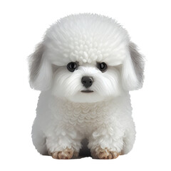 Cute bichon frise puppy, cartoon dog illustration. Generative AI