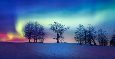 Fantastic winter landscape with dead tree in snowy mountains and northen light in the sky