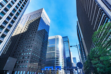 Fototapeta premium 太陽の光が綺麗な東京のビル群