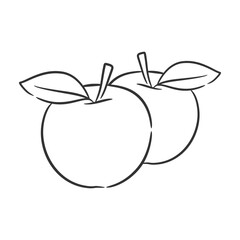 Apple line art vector illustration, Coloring book of healthy fruit