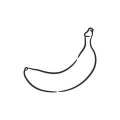 Banana line art vector illustration, Coloring book of healthy fruit