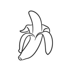 Banana line art vector illustration, Coloring book of healthy fruit