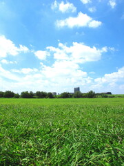 秋の江戸川河川敷の平日のサッカー場風景