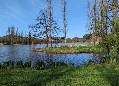 A quiet part of Lake Burley Griffen with Mout Ainslie in the background. Canberra, ACT, Australia.