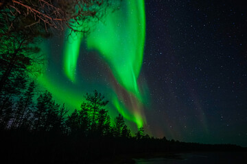 The Auroral colors