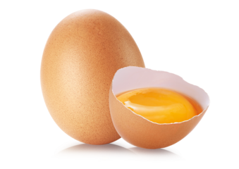 egg and close up of egg shell isolated. PNG transparency