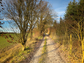 Bavarian Forest walk way during winter time 