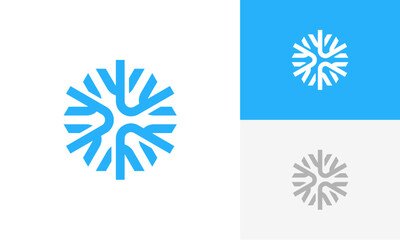 snowflakes logo design vector