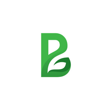 B Leaf Logo Vector Illustration. Leaf Organic Design