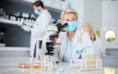 Microscope, face mask and scientist woman analysis of bacteria, virus or covid liquid solution in laboratory. Biotechnology, vaccine research or medicine study of science person, expert and test tube