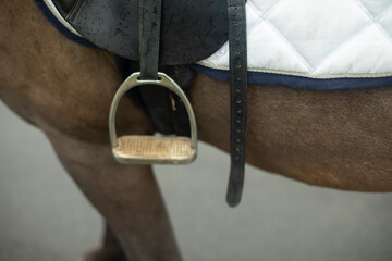 Saddle on horseback. Horse in detail. Steel foot stirrups.