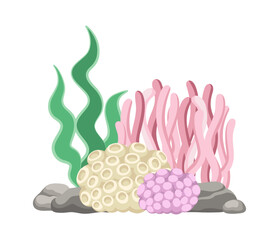Coral reefs with algae, seaweed and rocks vector cartoon illustration