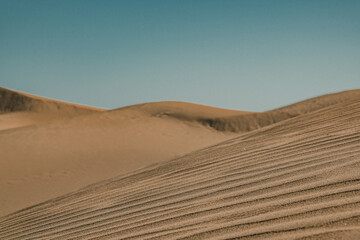 Fototapeta na wymiar wydmy pustynia