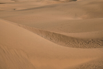 wydmy pustyni