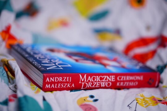 Polish Andrzej Maleszka Magiczne Drzewo book for children. 