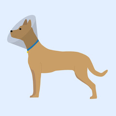 Dog in a protective veterinary collar. Vector illustration. Blue background