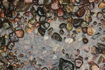 river rocks laying in the water