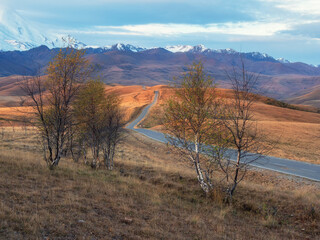 Beautiful asphalt freeway. Early morning view of a road stretching into the distance through the...